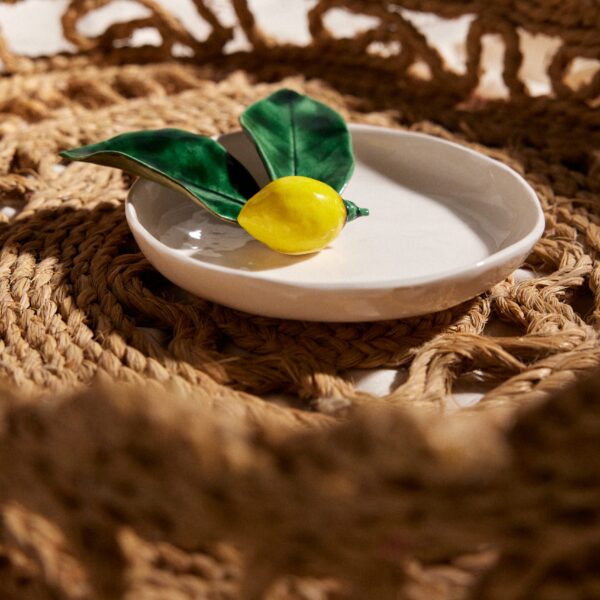 PLATO TARDE DE CAMPO