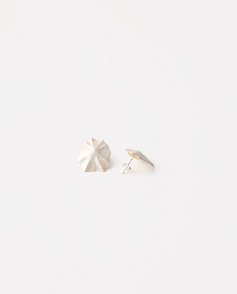 PENDIENTES LAPA PEQUEÑA