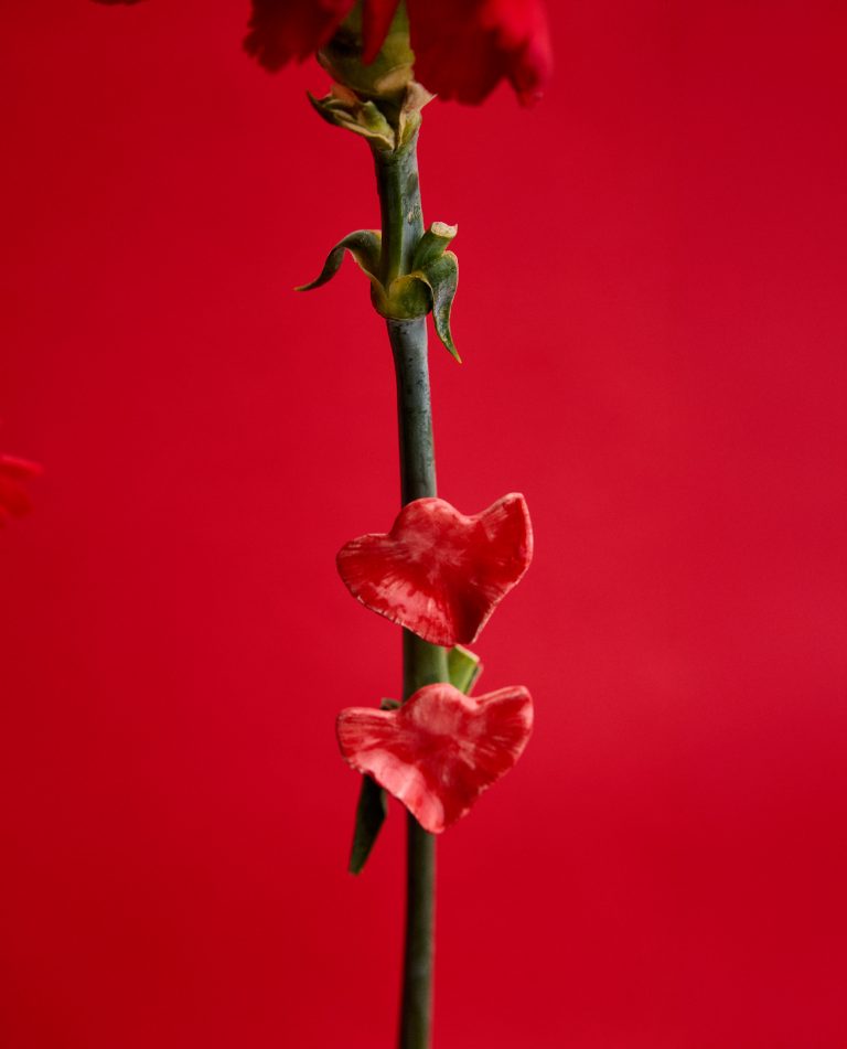 PENDIENTES HOJA CLAVEL ROJO