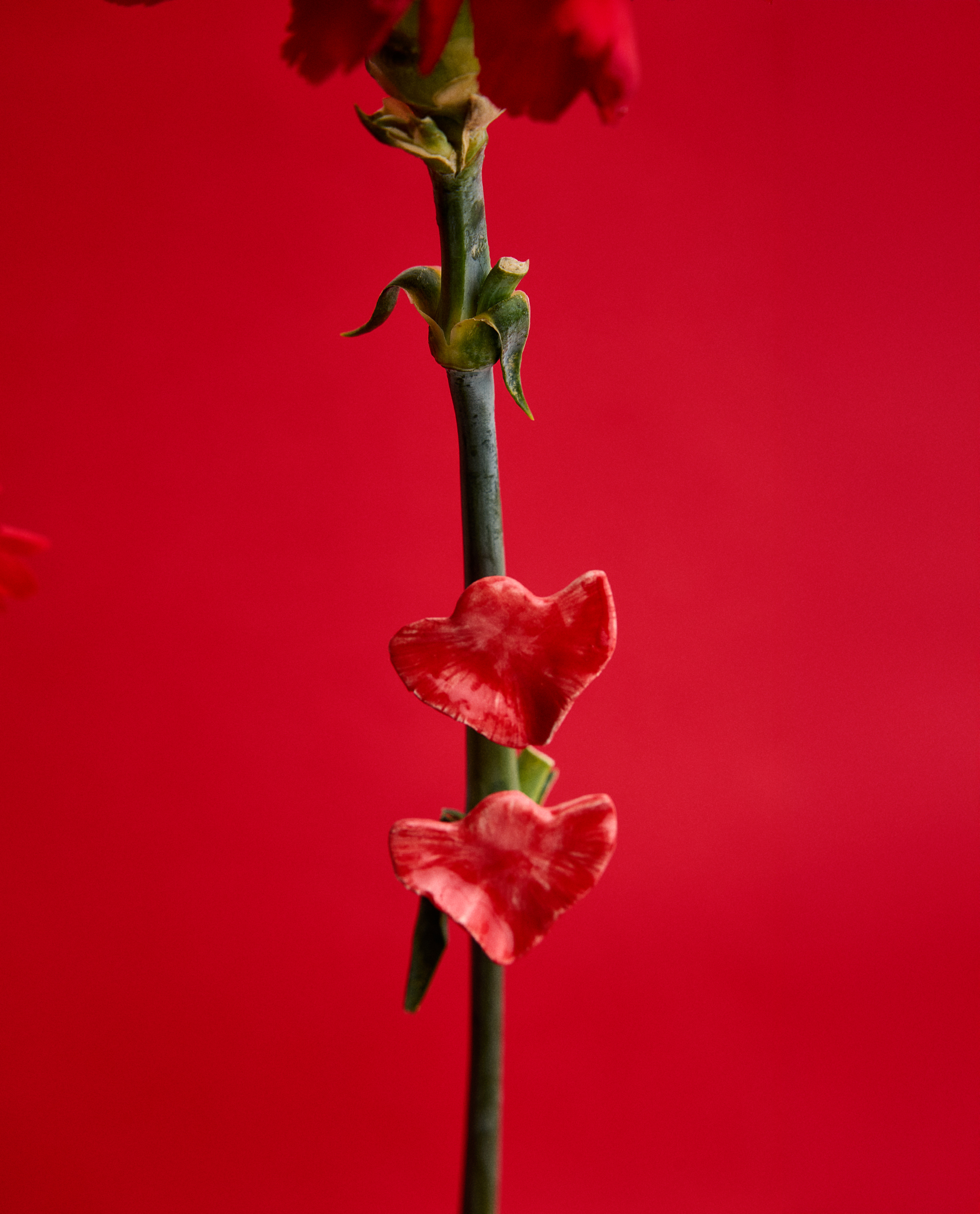 PENDIENTES HOJA PLANA CLAVEL