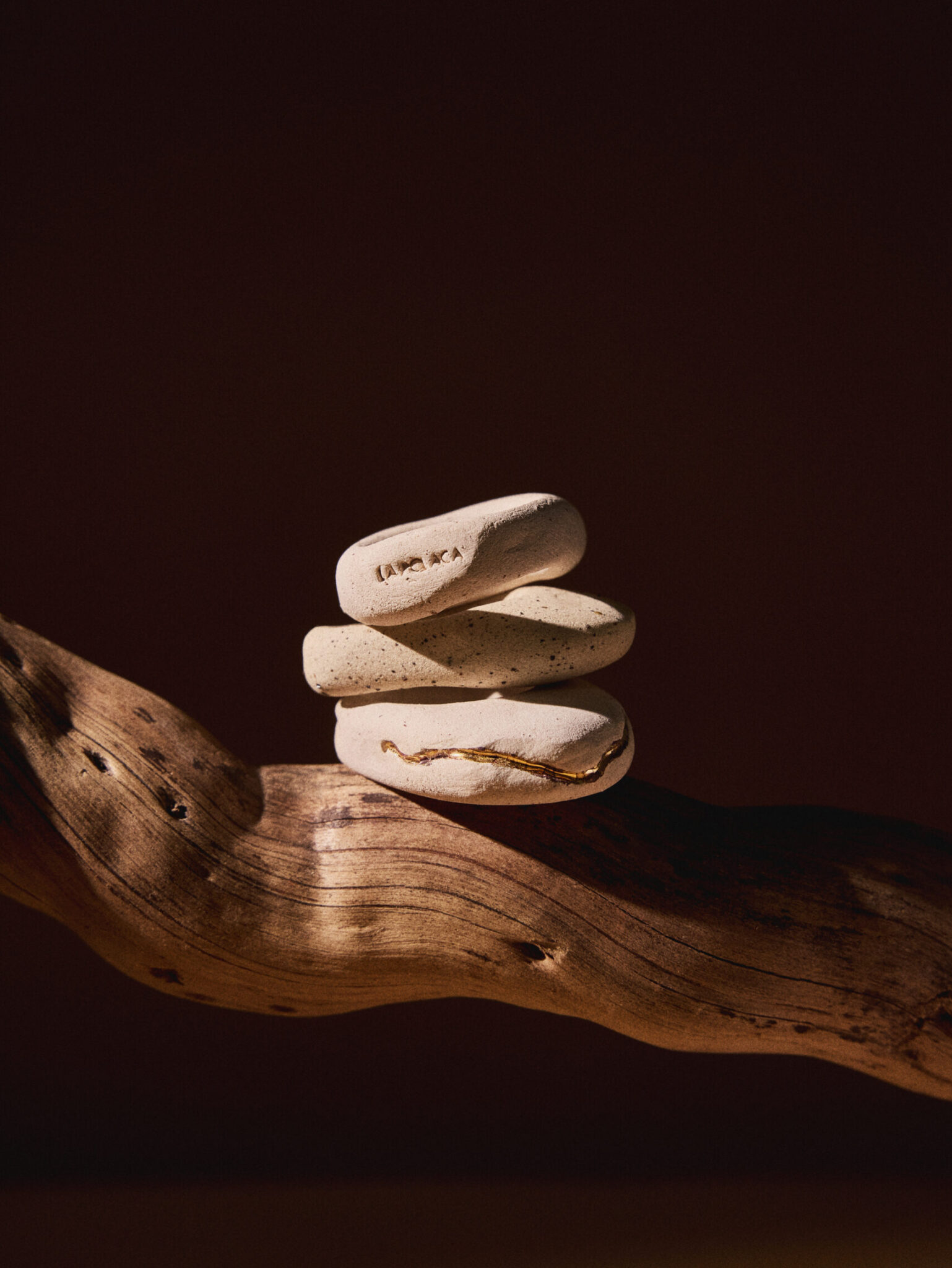 C14015. LA POLACA_TERRA_2113 copia